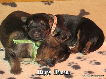 Happy Heman